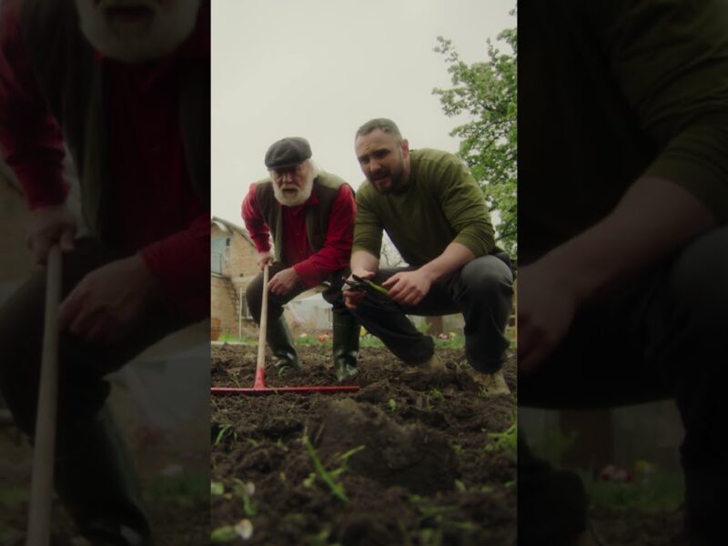 Твій город та поле змінилися!