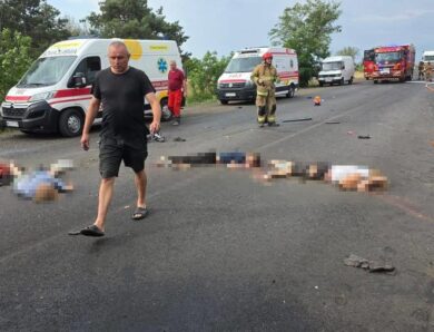 ДТП на Миколаївщині: відомо про 12 загиблих