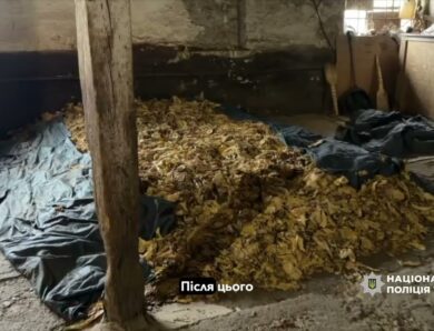 Від поля до «чорного» ринку: судитимуть групу осіб за постачання тютюну до підпільних цехів