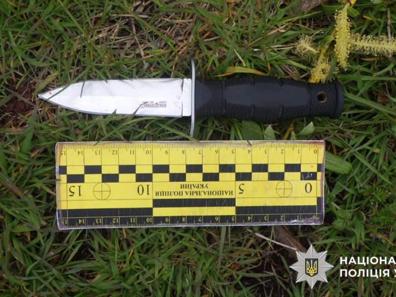 Киянину загрожує вісім років за бійку у парку
