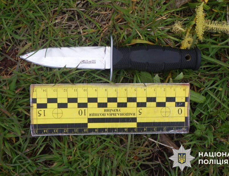 Киянину загрожує вісім років за ножовий напад у парку