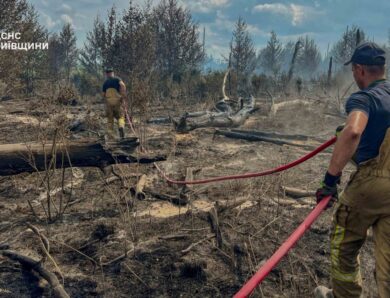 Масштабні пожежі в Чорнобильській зоні: що кажуть рятувальники