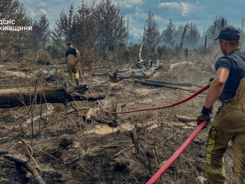 Масштабні пожежі в Чорнобильській зоні: що кажуть рятувальники