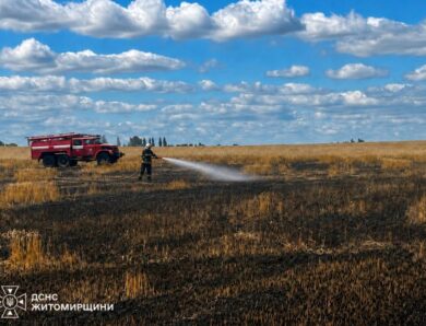 На Житомирщині через атаку РФ вигоріло пшеничне поле