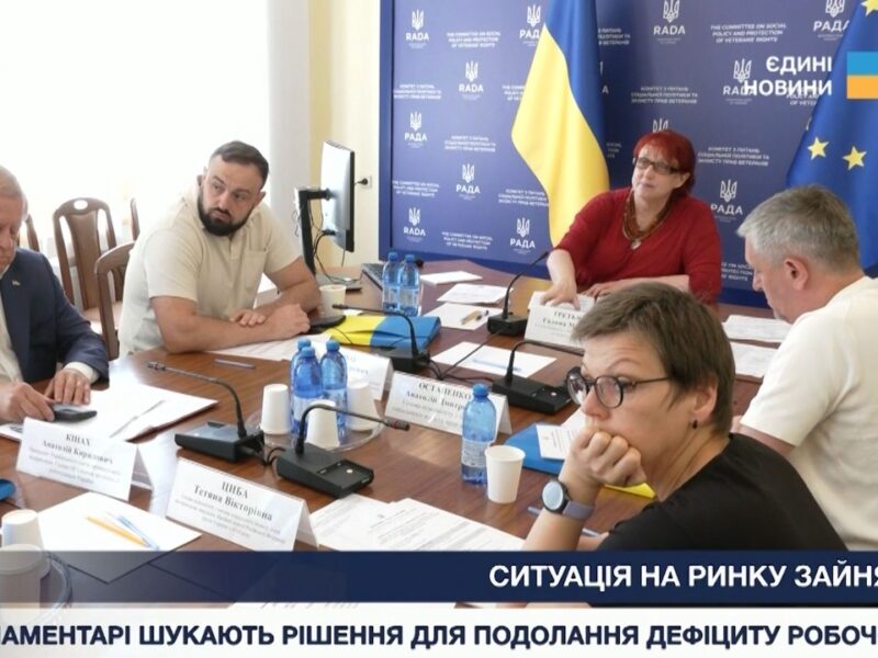 Ситуація на ринку зайнятості: парламентарі шукають рішення для подолання дефіциту робочої сили