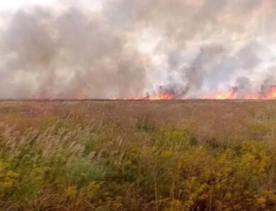 Окупанти спалили майже 2000 гектарів заповідника Асканія-Нова