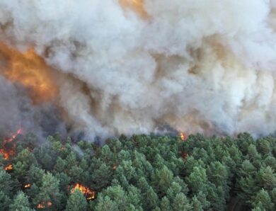 Під Парижем горить ліс: евакуювали тисячу людей