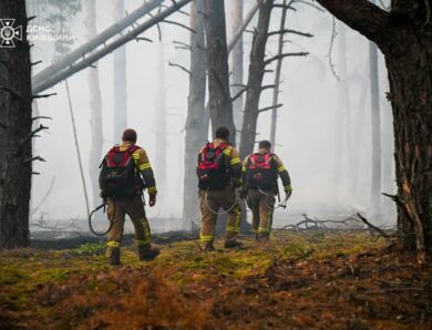 Пожежу в зоні відчуження взяли під контроль