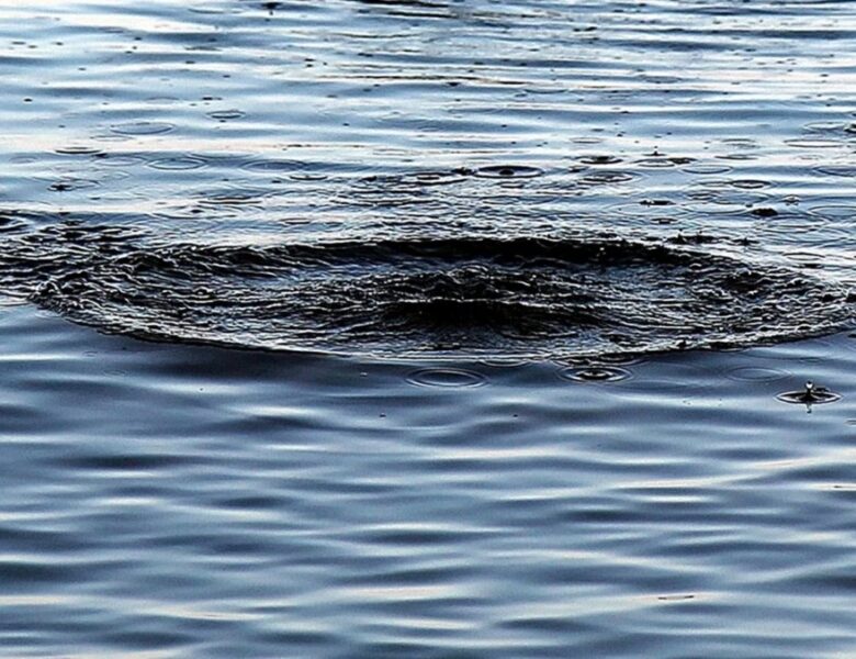 Троє дітей впали у воду на Харківщині: одна дитина загинула