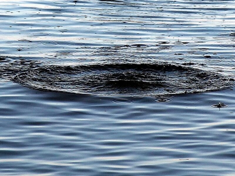 Троє дітей впали у воду на Харківщині: одна дитина загинула