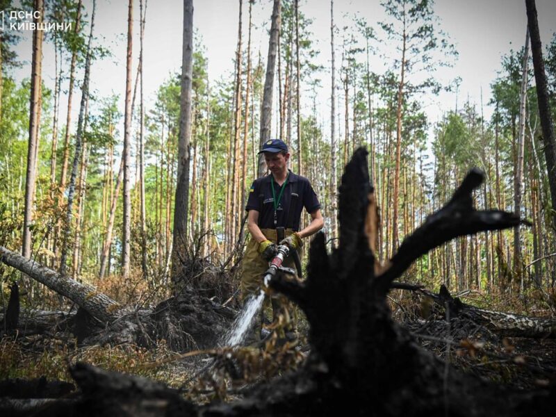 У Чорнобильській зоні загасили масштабну пожежу