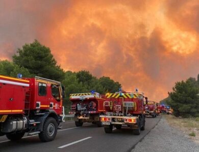 У Франції вогонь знищив близько 930 гектарів лісу
