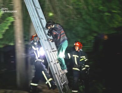 У Львові рятувальники зняли з дерева жінку та її кота