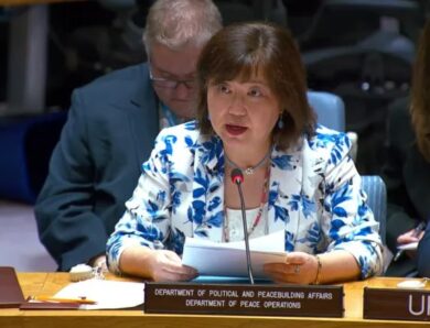 У Радбезі ООН США звернулися до України та Росії