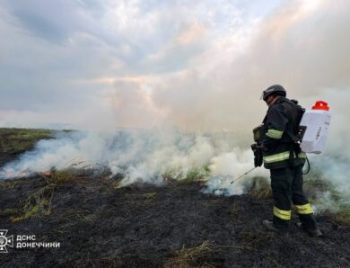 У Слов’янську пожежа сухостою наблизилася до осель