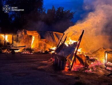 На Київщині горів притулок для тварин