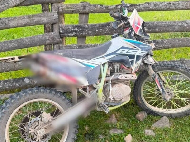 На Закарпатті мотоцикліст загинув після зіткнення з коровою