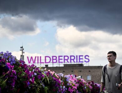 Після атак у РФ Wildberries розширює логістику в Казахстані