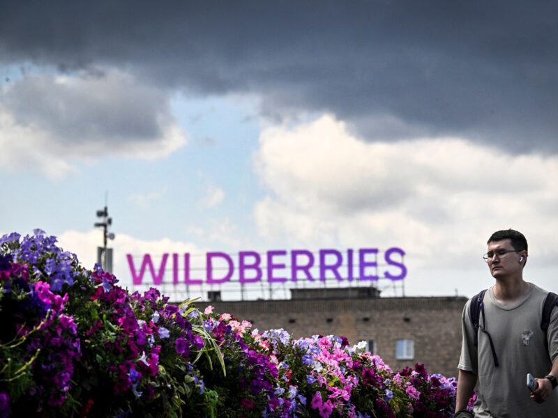 Після атак у РФ Wildberries розширює логістику в Казахстані