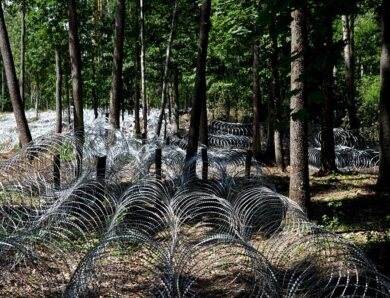 У ДПСУ оцінили загрозу нового підрозділу Білорусі