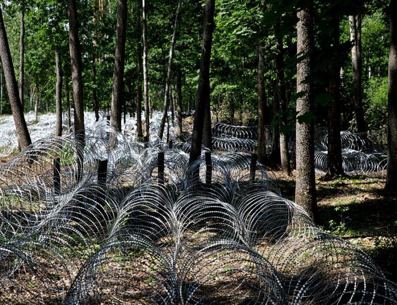 У ДПСУ оцінили загрозу нового підрозділу Білорусі