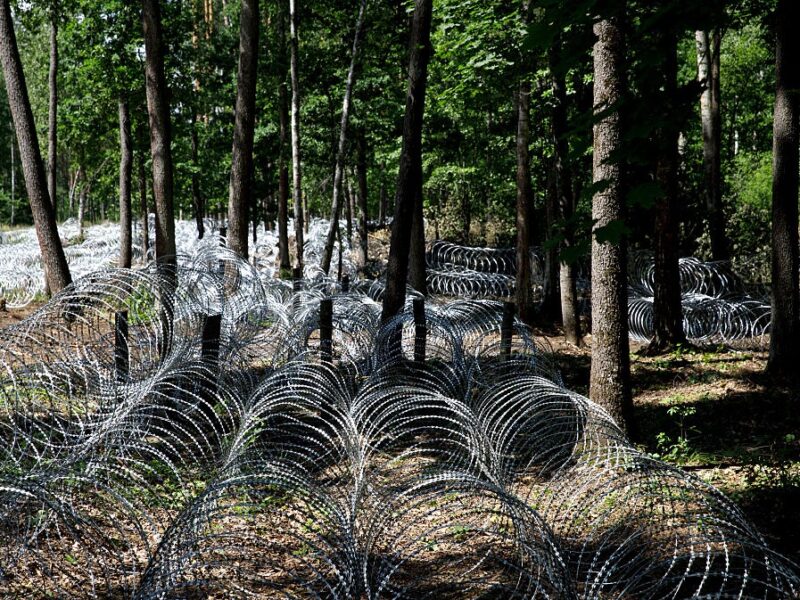 У ДПСУ оцінили загрозу нового підрозділу Білорусі