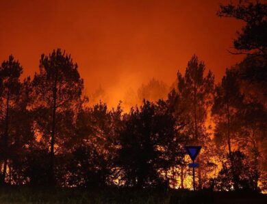 У Франції заарештували понад 400 людей за підозрою у підпалах лісів