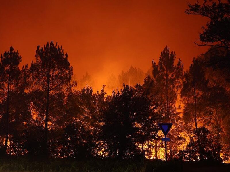 У Франції заарештували понад 400 людей за підозрою у підпалах лісів