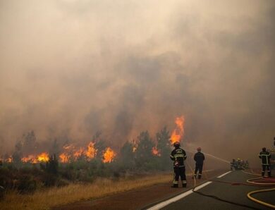 У Франції заявили, що взяли під контроль лісові пожежі