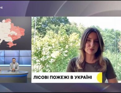 У Європі палають ЛІСОВІ ПОЖЕЖІ. Яка ситуація в УКРАЇНСЬКИХ лісах?